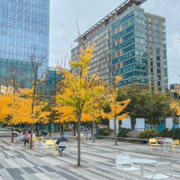 The views of our neighborhood are simply unbeatable ๐๐  #watermarksp #greystarne #cityliving #seaportboston Instagram post from @wmspapts on June 21, 2024 10:31:00am